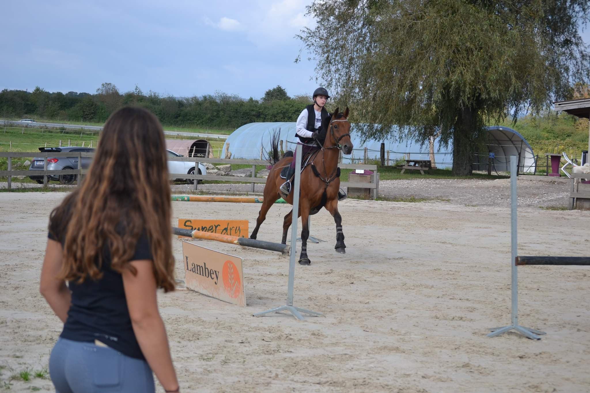 Cheval à l'obstacle en cours d'équitation près de Belfort