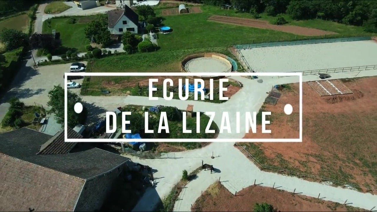 Présentation en vidéo de l'Écurie de la Lizaine à Frahier-et-Châtebier